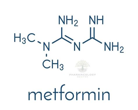 is metformin a beta blocker|Metformin: The Most Popular Biguanide Explained.